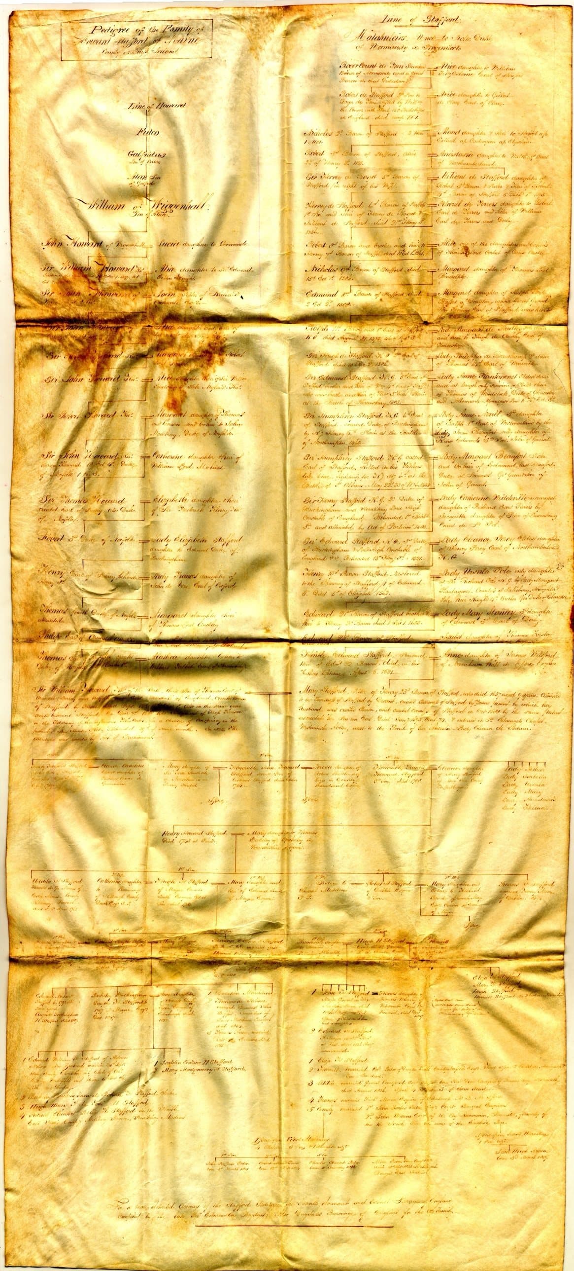 The Pedigree of the Family of Howard Stafford of Mayne, County of Louth, c.1848